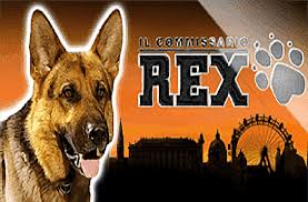 Rex