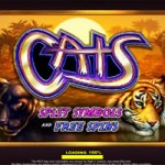 Cats slot