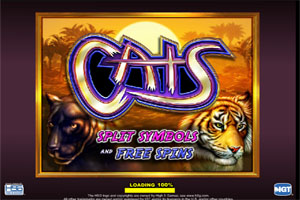 Cats slot