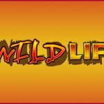 The Wild Life Slot Vlt