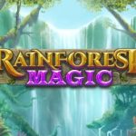 Rainforest Magic