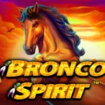 Bronco Spirit