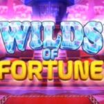 Wilds of Fortune Slot