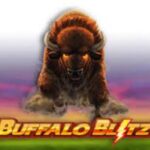 Buffalo Blitz Slot