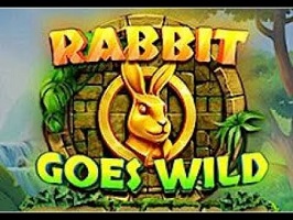 Rabbit Goes Wild slot