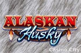 Alaskan Husky Slot
