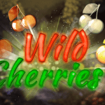 Wild Cherries video slot