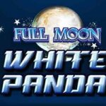 Full Moon White Panda slot