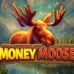 Money Moose slot