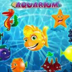 Aquarium slot