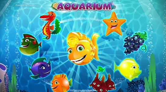 Aquarium slot