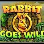 Rabbit Goes Wild slot